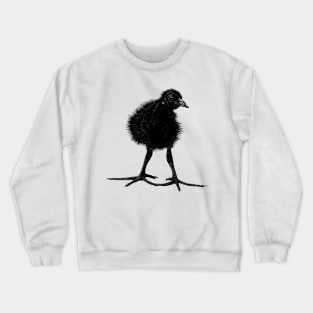 Moorhen chick Crewneck Sweatshirt